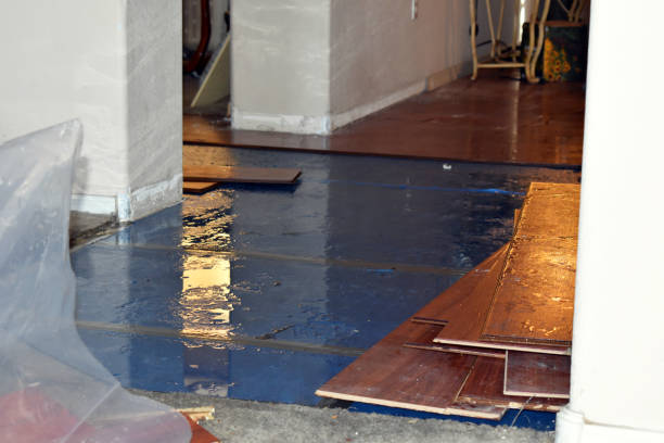 Professional Basement Flood Cleanup technician working in North Hampton, NH